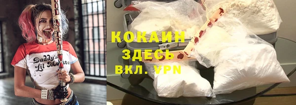spice Елизово