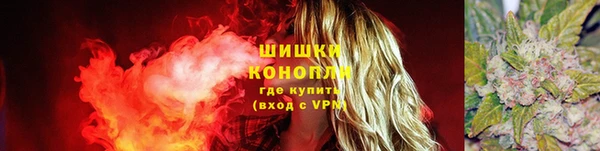 соль курить ск Ельня
