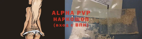 spice Елизово