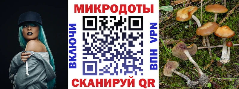 Купить  Новоаннинский  Псилоцибиновые грибы Magic Shrooms 