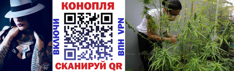 Купить закладки  Новоаннинский  Марихуана гибрид 